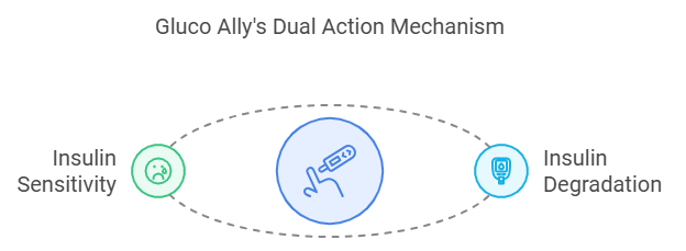 Gluco Ally's Dual Action Mechanism